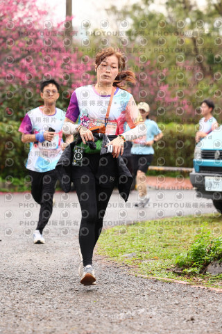2026左岸竹東櫻花馬拉松Zhudong Sakura Marathon