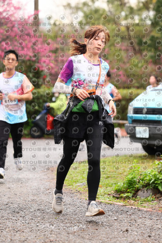 2026左岸竹東櫻花馬拉松Zhudong Sakura Marathon