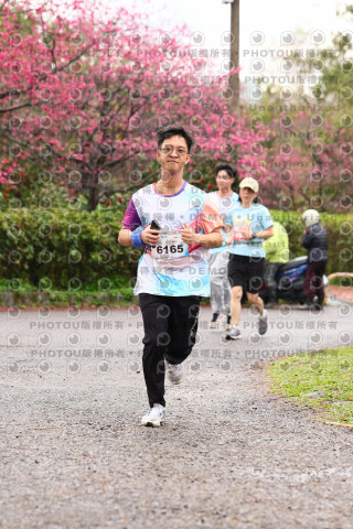 2026左岸竹東櫻花馬拉松Zhudong Sakura Marathon