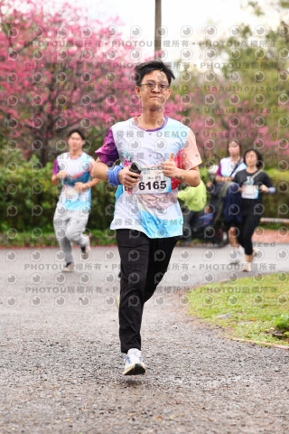 2026左岸竹東櫻花馬拉松Zhudong Sakura Marathon
