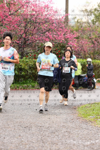 2026左岸竹東櫻花馬拉松Zhudong Sakura Marathon