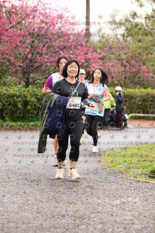 2026左岸竹東櫻花馬拉松Zhudong Sakura Marathon