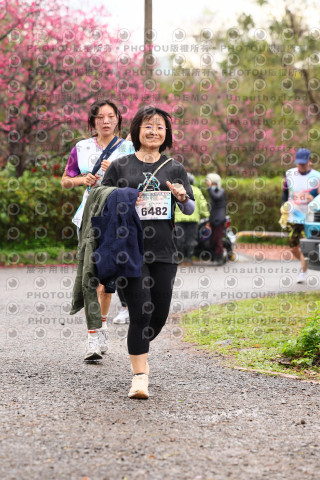 2026左岸竹東櫻花馬拉松Zhudong Sakura Marathon