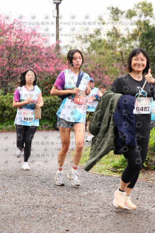 2026左岸竹東櫻花馬拉松Zhudong Sakura Marathon