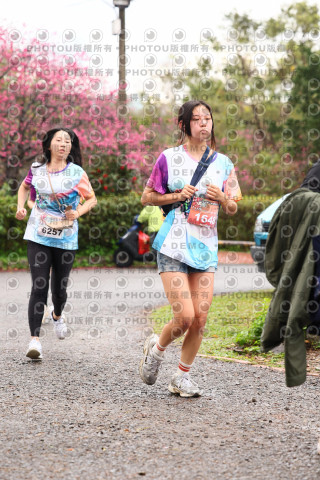 2026左岸竹東櫻花馬拉松Zhudong Sakura Marathon