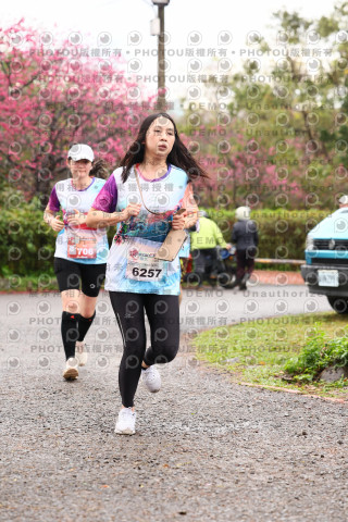 2026左岸竹東櫻花馬拉松Zhudong Sakura Marathon