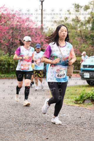 2026左岸竹東櫻花馬拉松Zhudong Sakura Marathon
