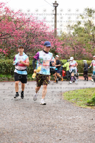 2026左岸竹東櫻花馬拉松Zhudong Sakura Marathon