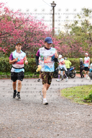 2026左岸竹東櫻花馬拉松Zhudong Sakura Marathon