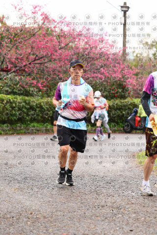 2026左岸竹東櫻花馬拉松Zhudong Sakura Marathon