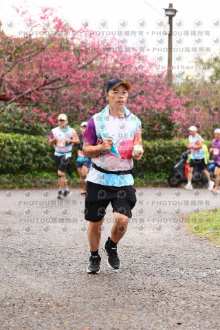 2026左岸竹東櫻花馬拉松Zhudong Sakura Marathon
