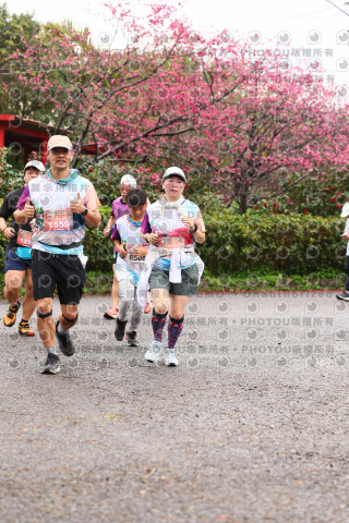 2026左岸竹東櫻花馬拉松Zhudong Sakura Marathon