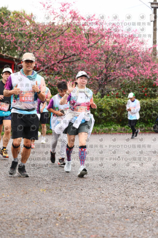 2026左岸竹東櫻花馬拉松Zhudong Sakura Marathon