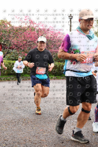 2026左岸竹東櫻花馬拉松Zhudong Sakura Marathon