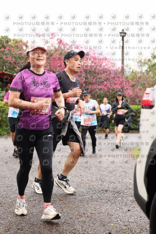2026左岸竹東櫻花馬拉松Zhudong Sakura Marathon