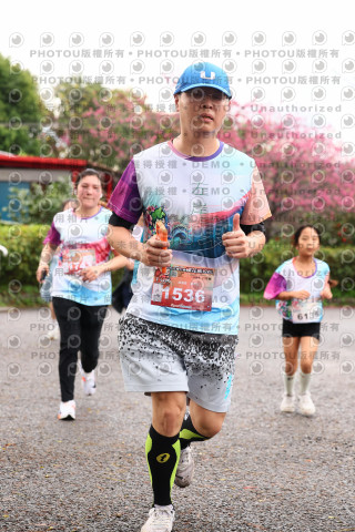 2026左岸竹東櫻花馬拉松Zhudong Sakura Marathon