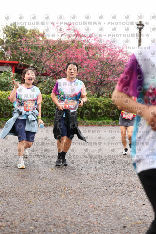 2026左岸竹東櫻花馬拉松Zhudong Sakura Marathon