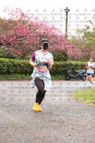2026左岸竹東櫻花馬拉松Zhudong Sakura Marathon