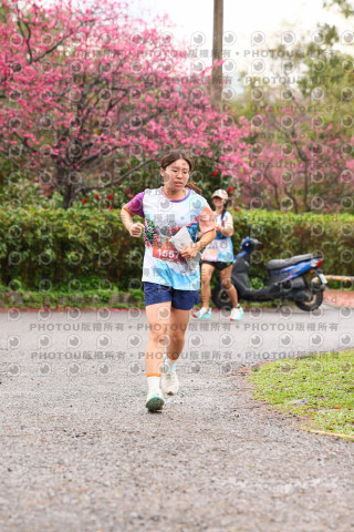 2026左岸竹東櫻花馬拉松Zhudong Sakura Marathon