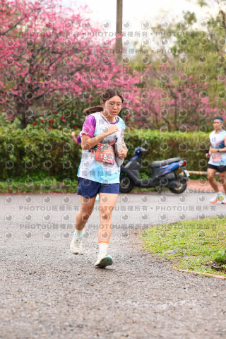 2026左岸竹東櫻花馬拉松Zhudong Sakura Marathon