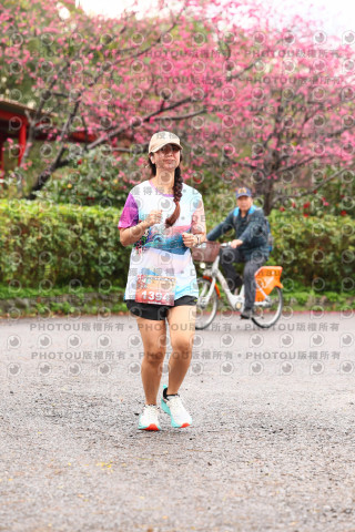 2026左岸竹東櫻花馬拉松Zhudong Sakura Marathon