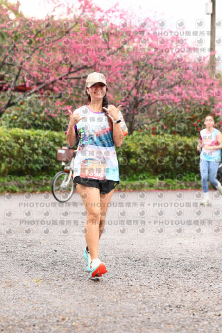 2026左岸竹東櫻花馬拉松Zhudong Sakura Marathon