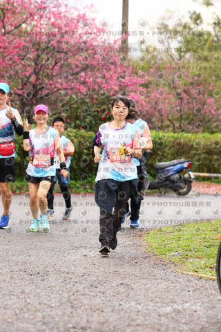 2026左岸竹東櫻花馬拉松Zhudong Sakura Marathon