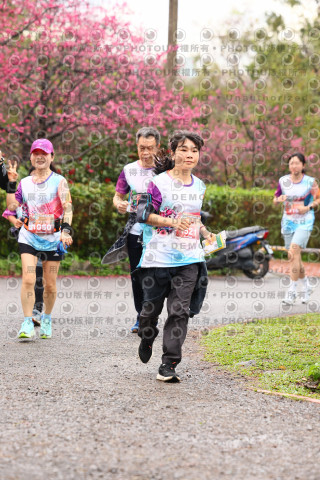 2026左岸竹東櫻花馬拉松Zhudong Sakura Marathon