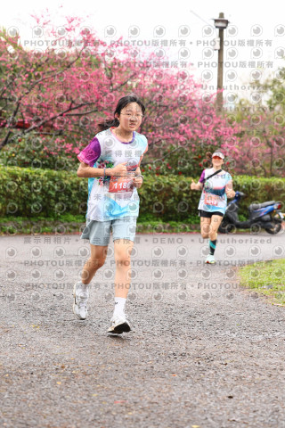 2026左岸竹東櫻花馬拉松Zhudong Sakura Marathon