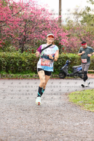 2026左岸竹東櫻花馬拉松Zhudong Sakura Marathon