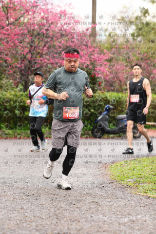 2026左岸竹東櫻花馬拉松Zhudong Sakura Marathon