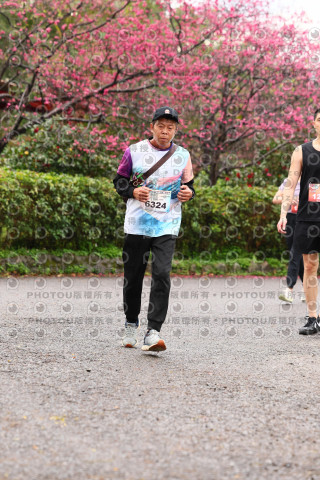 2026左岸竹東櫻花馬拉松Zhudong Sakura Marathon