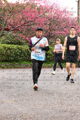 2026左岸竹東櫻花馬拉松Zhudong Sakura Marathon