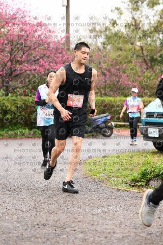 2026左岸竹東櫻花馬拉松Zhudong Sakura Marathon