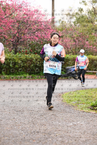 2026左岸竹東櫻花馬拉松Zhudong Sakura Marathon