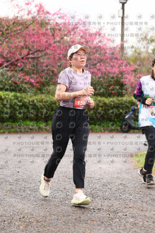 2026左岸竹東櫻花馬拉松Zhudong Sakura Marathon