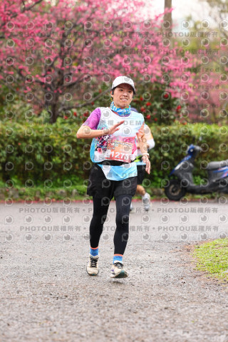 2026左岸竹東櫻花馬拉松Zhudong Sakura Marathon