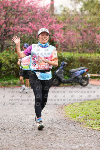 2026左岸竹東櫻花馬拉松Zhudong Sakura Marathon