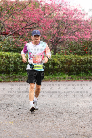 2026左岸竹東櫻花馬拉松Zhudong Sakura Marathon
