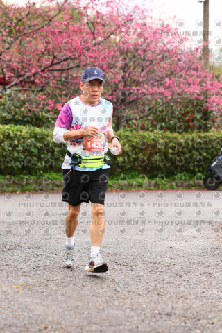 2026左岸竹東櫻花馬拉松Zhudong Sakura Marathon