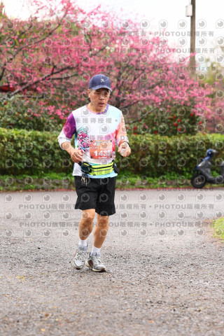 2026左岸竹東櫻花馬拉松Zhudong Sakura Marathon
