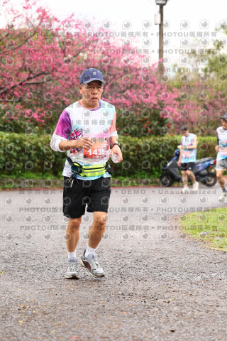 2026左岸竹東櫻花馬拉松Zhudong Sakura Marathon