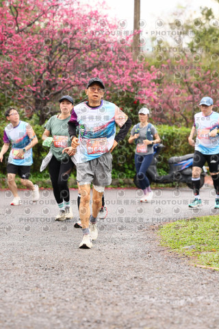 2026左岸竹東櫻花馬拉松Zhudong Sakura Marathon