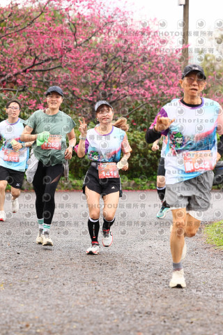 2026左岸竹東櫻花馬拉松Zhudong Sakura Marathon