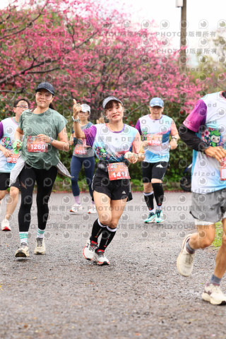 2026左岸竹東櫻花馬拉松Zhudong Sakura Marathon