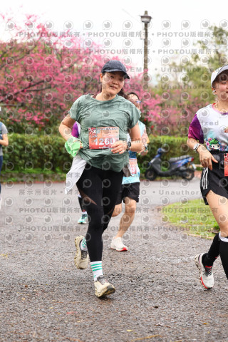 2026左岸竹東櫻花馬拉松Zhudong Sakura Marathon