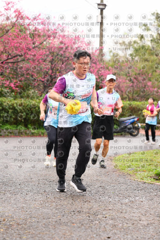 2026左岸竹東櫻花馬拉松Zhudong Sakura Marathon