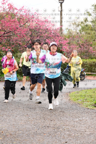 2026左岸竹東櫻花馬拉松Zhudong Sakura Marathon