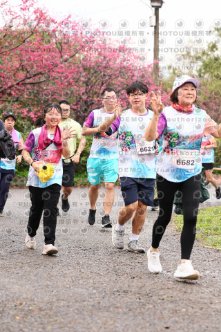 2026左岸竹東櫻花馬拉松Zhudong Sakura Marathon