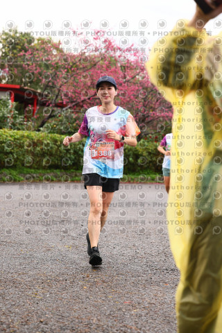 2026左岸竹東櫻花馬拉松Zhudong Sakura Marathon